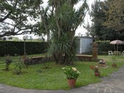 Bed and Breakfast a Pisa