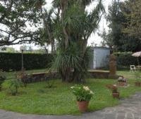Bed and Breakfast a Pisa